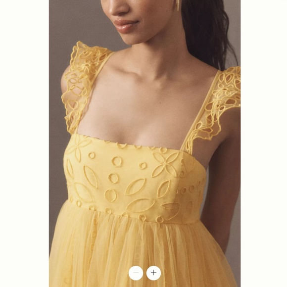 Anthropologie Let Me Be Eyelet Tulle Mini Dress - Picture 4 of 4